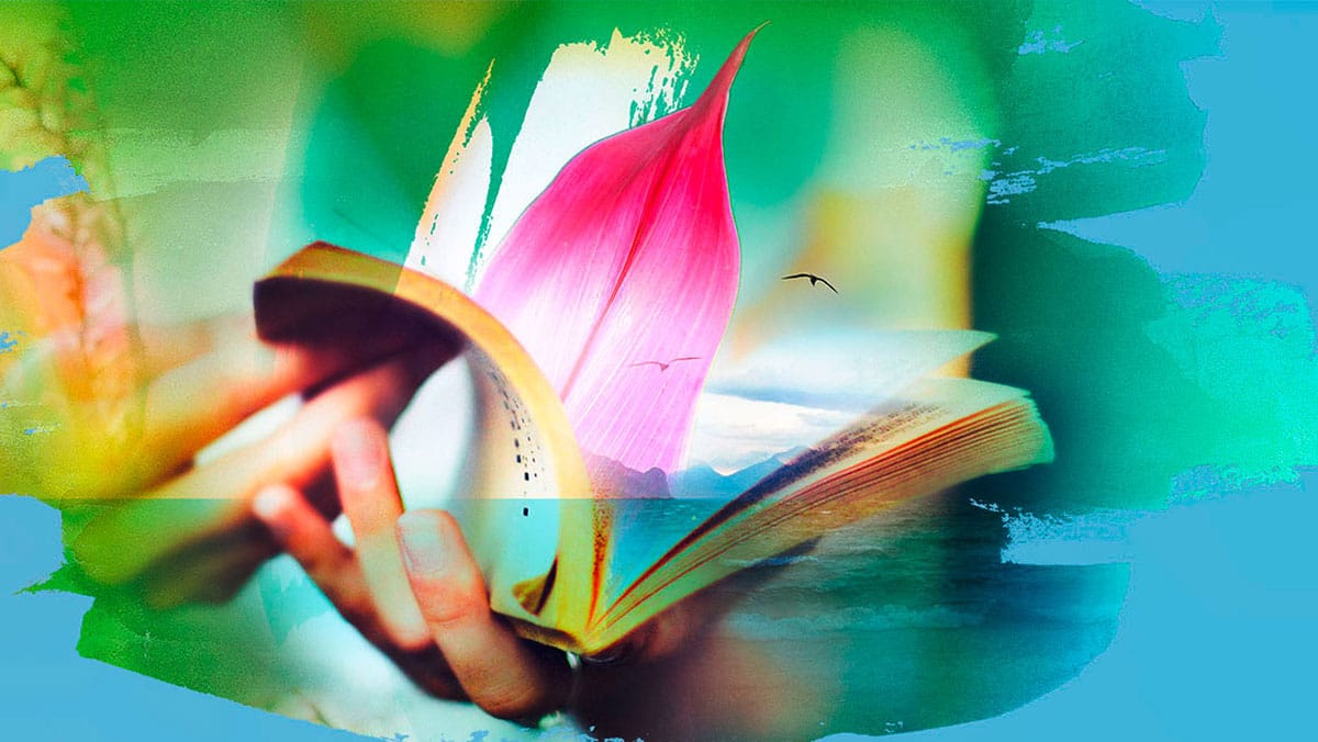 Filme, Bücher & Musik