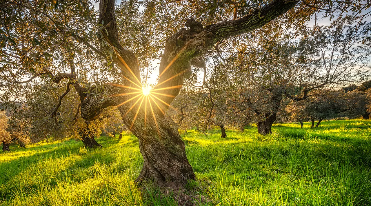 Klein und nachhaltig: Agriturismo und Albergo Diffuso