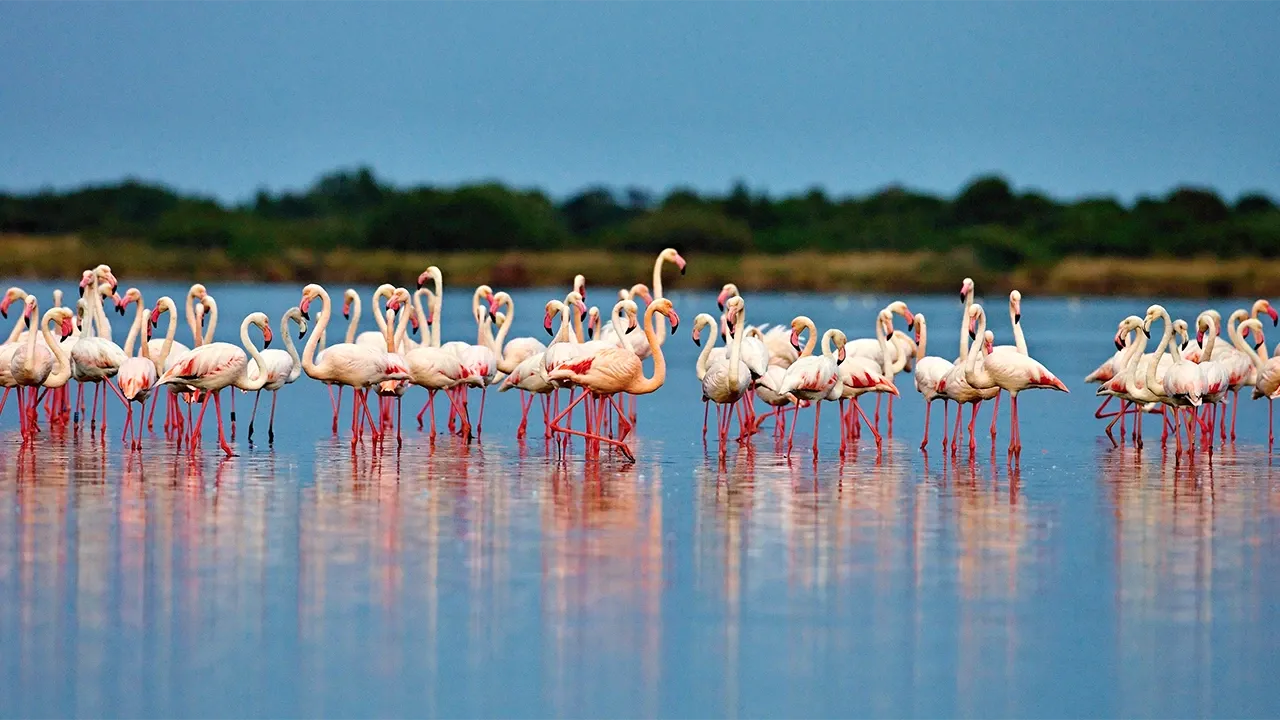 Gut aufgepasst? Auf zum Quiz!