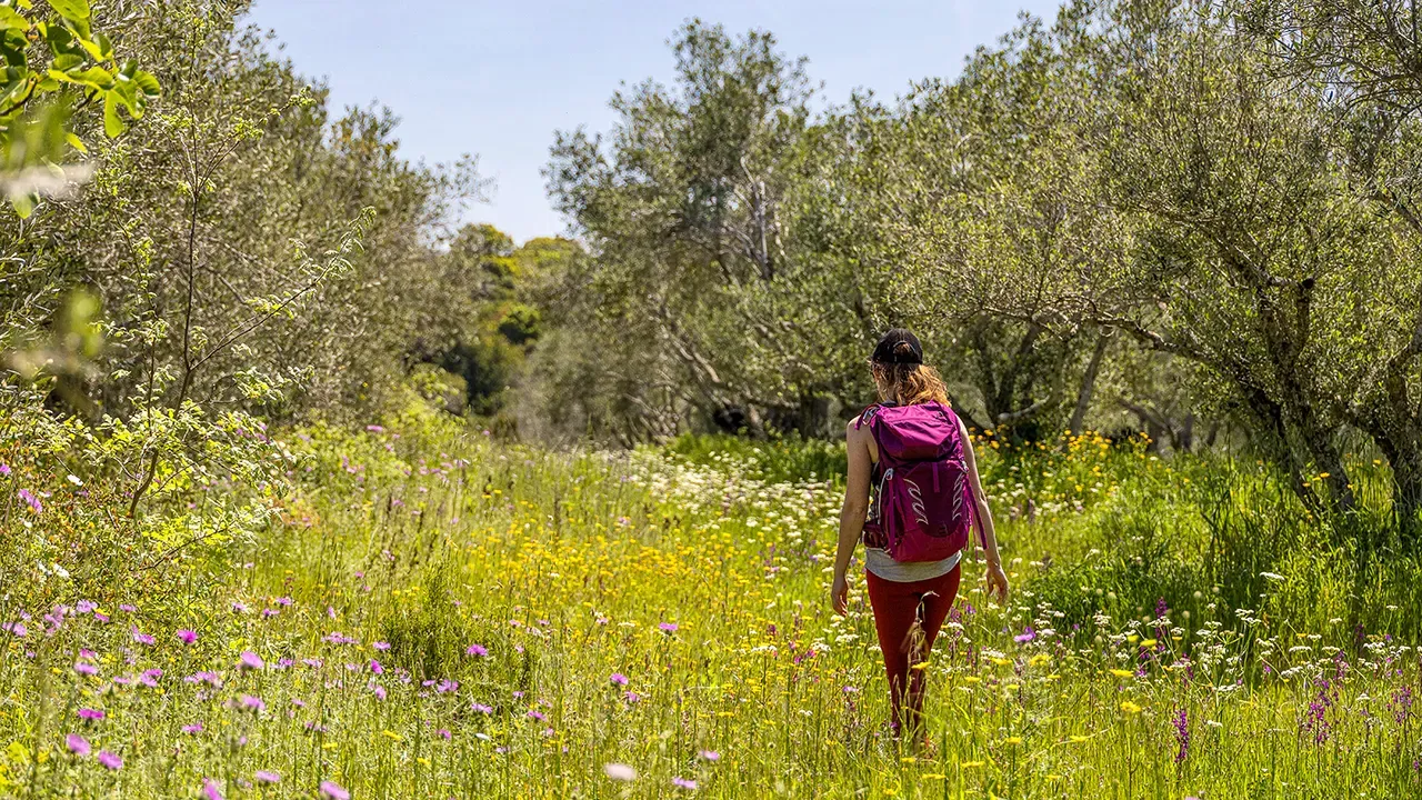 Selfguided-Reisen: Im eigenen Tempo unterwegs