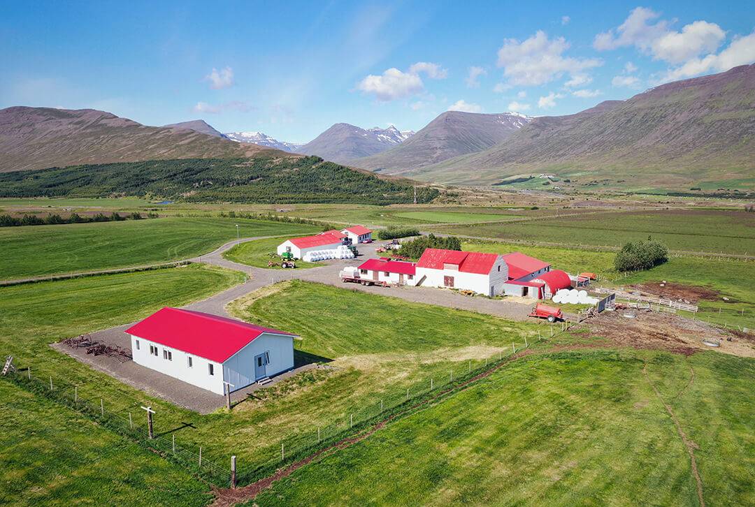 Der Hof Ytri Baegisa liegt auf dem Tröllaskagi (Halbinsel der Trolle) in einem hübschen Tal gleich neben der Ringstraße. Nach Akureyri, Islands zweitgrößter Stadt, sind es 23 Kilometer.