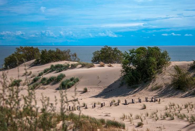 Dünen, so weit das Auge reicht - die Kurische Nehrung in Litauen ist der größte Sandkasten Europas.